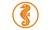 Seepferdchen